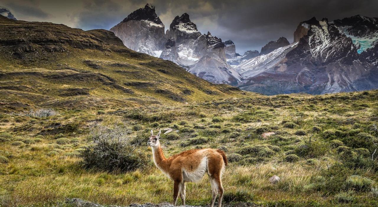 Rio Serrano Hotel + Spa Torres del Paine National Park Exterior foto